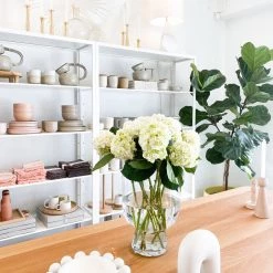 Super Simple HALO BOWL - SMALL