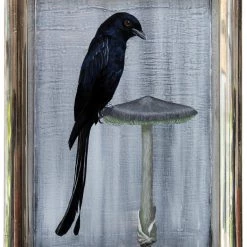 Super Simple BIRD PAINTING ON TRAY - DRONGOO