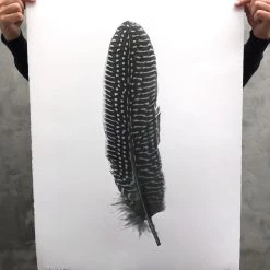 Super Simple FEATHER STUDY #5