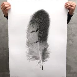 Super Simple FEATHER STUDY #7 ART