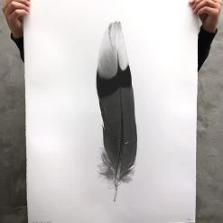 Super Simple FEATHER STUDY #9 ART