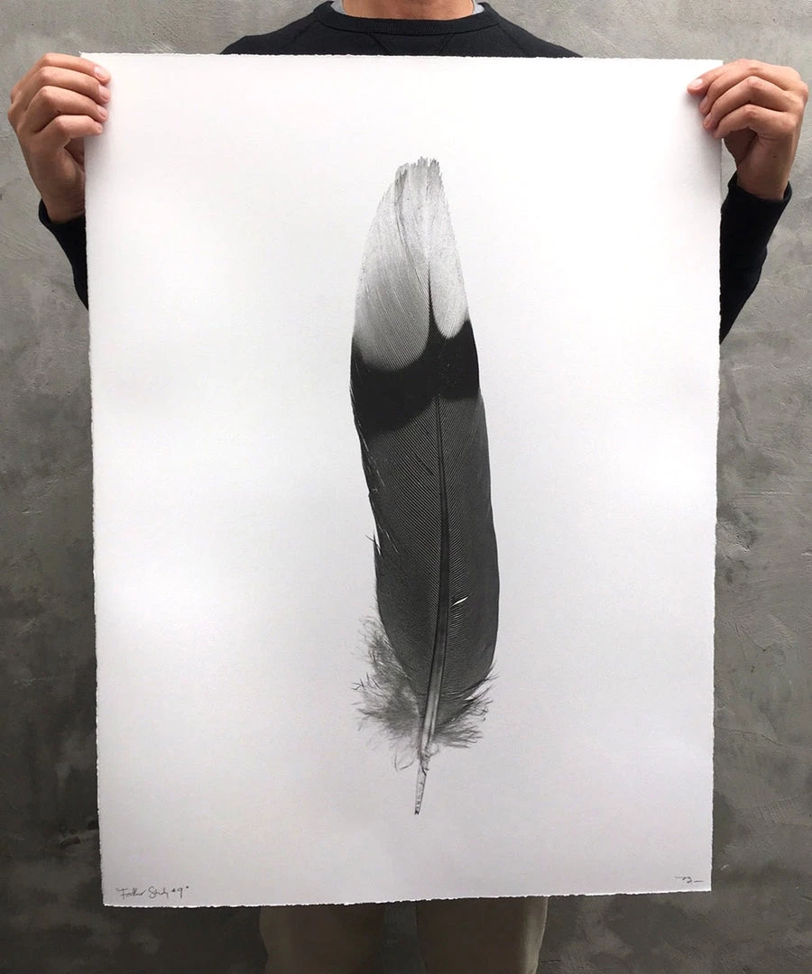 Super Simple FEATHER STUDY #9 ART 2 Super Simple FEATHER STUDY #9 ART