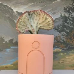 Super Simple LARGE ETCH PLANTER PLANTERS 9 Super Simple LARGE ETCH PLANTER PLANTERS