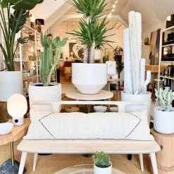 Super Simple FURNITURE OXBEND BENCH - WHITE ASH