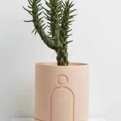 Super Simple LARGE ETCH PLANTER PLANTERS 6 Super Simple LARGE ETCH PLANTER PLANTERS