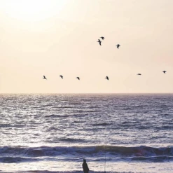 Super Simple CALIFORNIA LIVING + EATING