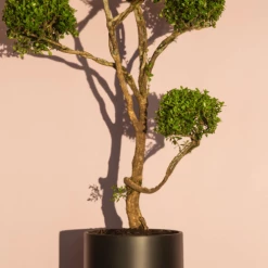 Super Simple DECOR CONE PLANTER - SMALL BLACK