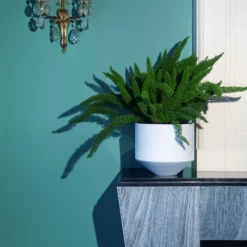 Super Simple CONE PLANTER - SMALL WHITE CERAMICS