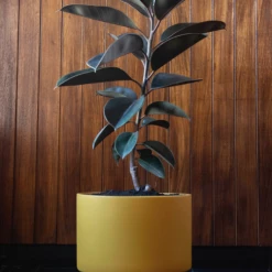 Super Simple CONE PLANTER - SAFFRON LARGE