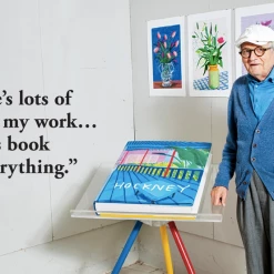 Super Simple ART DAVID HOCKNEY - A Bigger Book