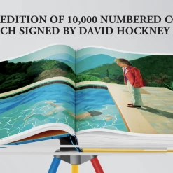 Super Simple ART DAVID HOCKNEY - A Bigger Book