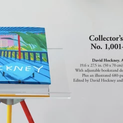 Super Simple ART DAVID HOCKNEY - A Bigger Book