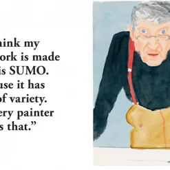 Super Simple ART DAVID HOCKNEY - A Bigger Book