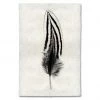Super Simple ART FEATHER STUDY #2