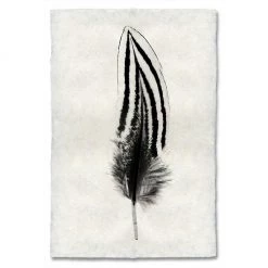 Super Simple ART FEATHER STUDY #2