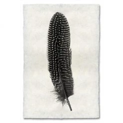 Super Simple FEATHER STUDY #5