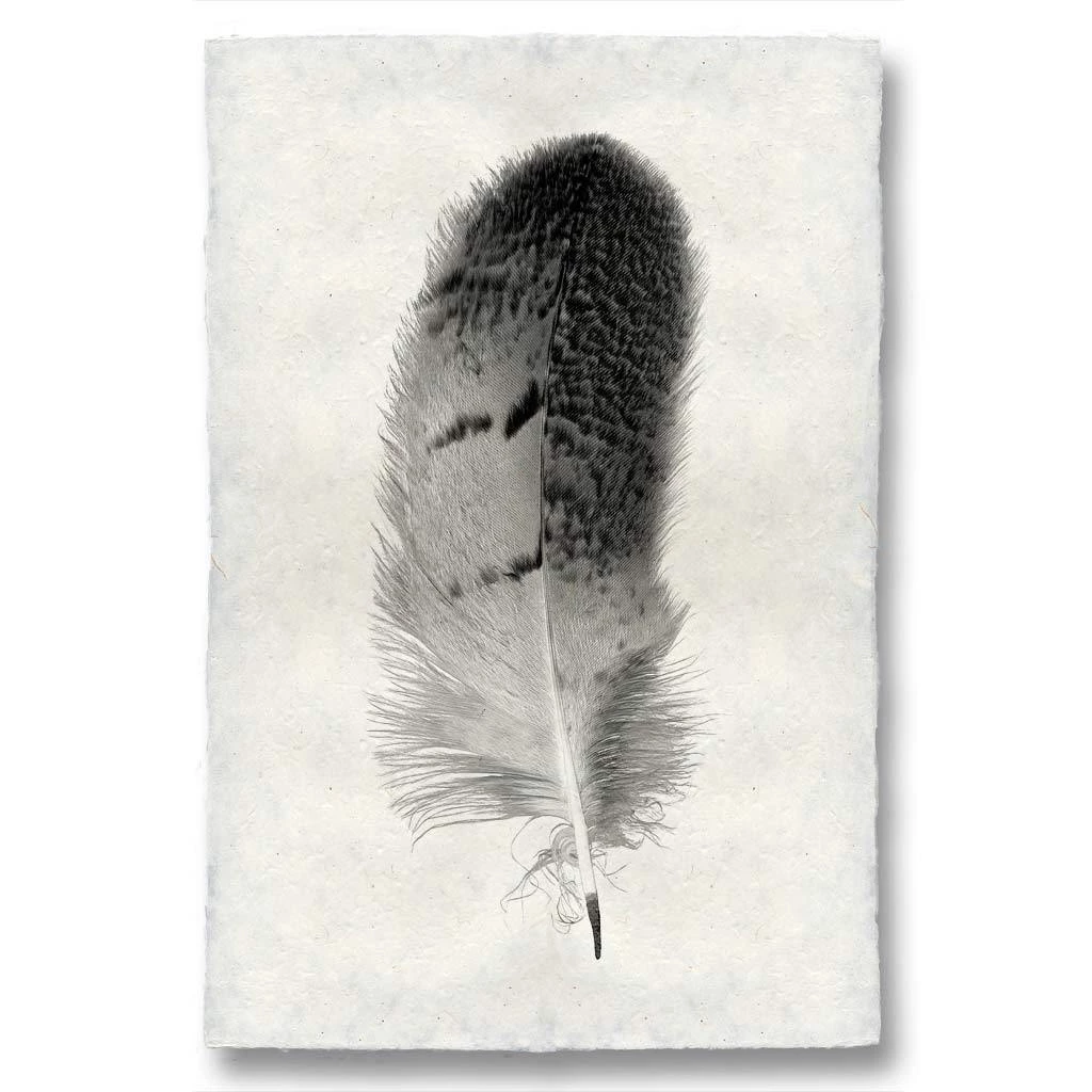 Super Simple FEATHER STUDY #7 ART 1 Super Simple FEATHER STUDY #7 ART