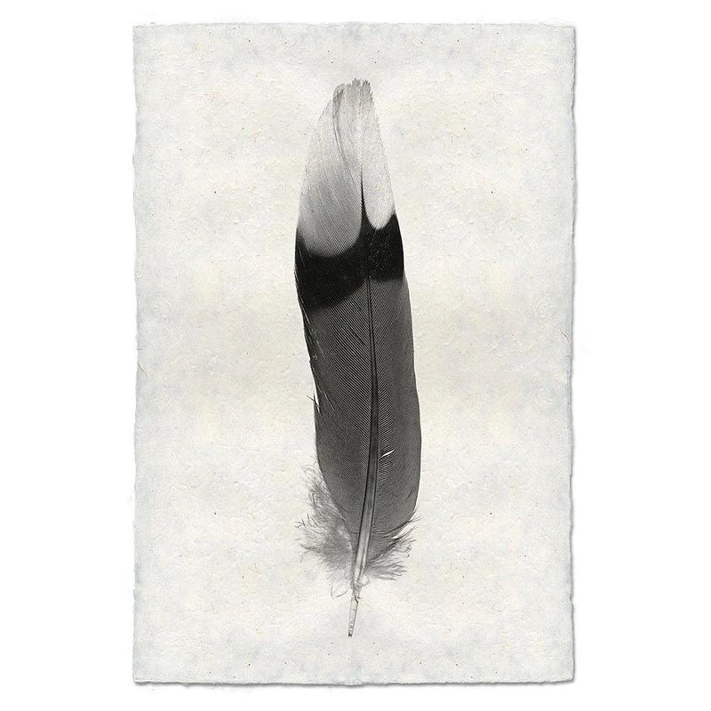 Super Simple FEATHER STUDY #9 ART 1 Super Simple FEATHER STUDY #9 ART
