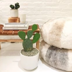 Super Simple SHEARLING POUF PILLOWS