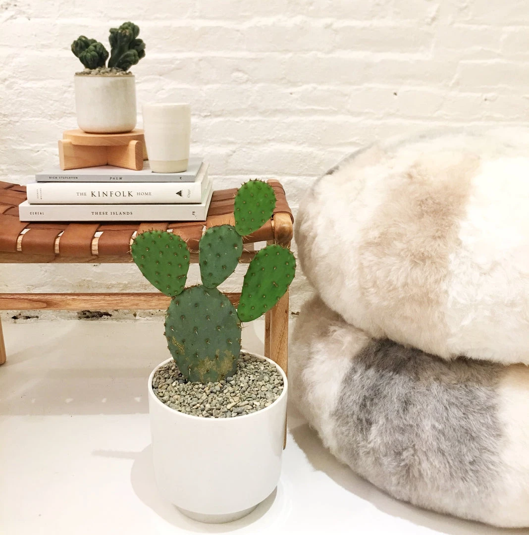 Super Simple SHEARLING POUF PILLOWS 2 Super Simple SHEARLING POUF PILLOWS